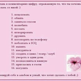 Bekannter, �����������, 48 ���