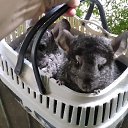 ���� �������, ������, 55 ��� - ��������� 4 ������� 2024 � ������ ���� ����������