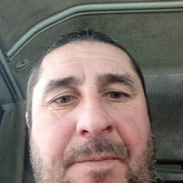 ������, ����, 46 ���