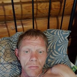 ����, 41 ���, ������