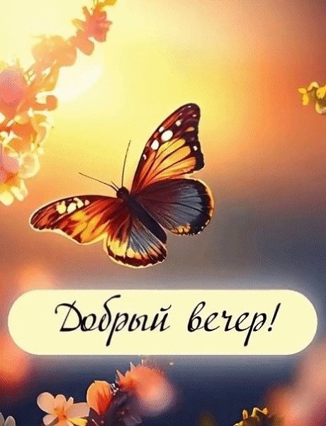 ����������� � ���������, �������� �� ������ ����. - 19 ���� 2026 � 18:13 - 3