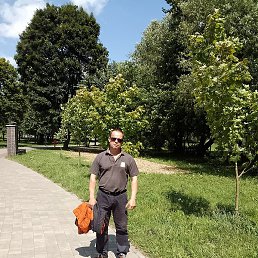 ���������, ����������, 49 ���