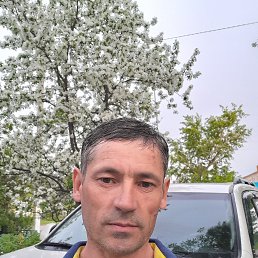 , 44, 