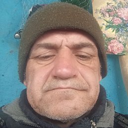 �������, ������, 49 ���