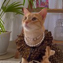 ���� ���������., ������ - ��������� 15 ������ 2026 � ������ ������ ��������