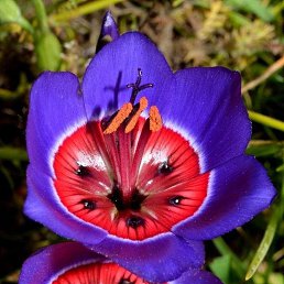 ���� �������, ������, 53 ���� - ��������� 30 ������� 2023