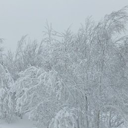 �������, ������, 46 ���