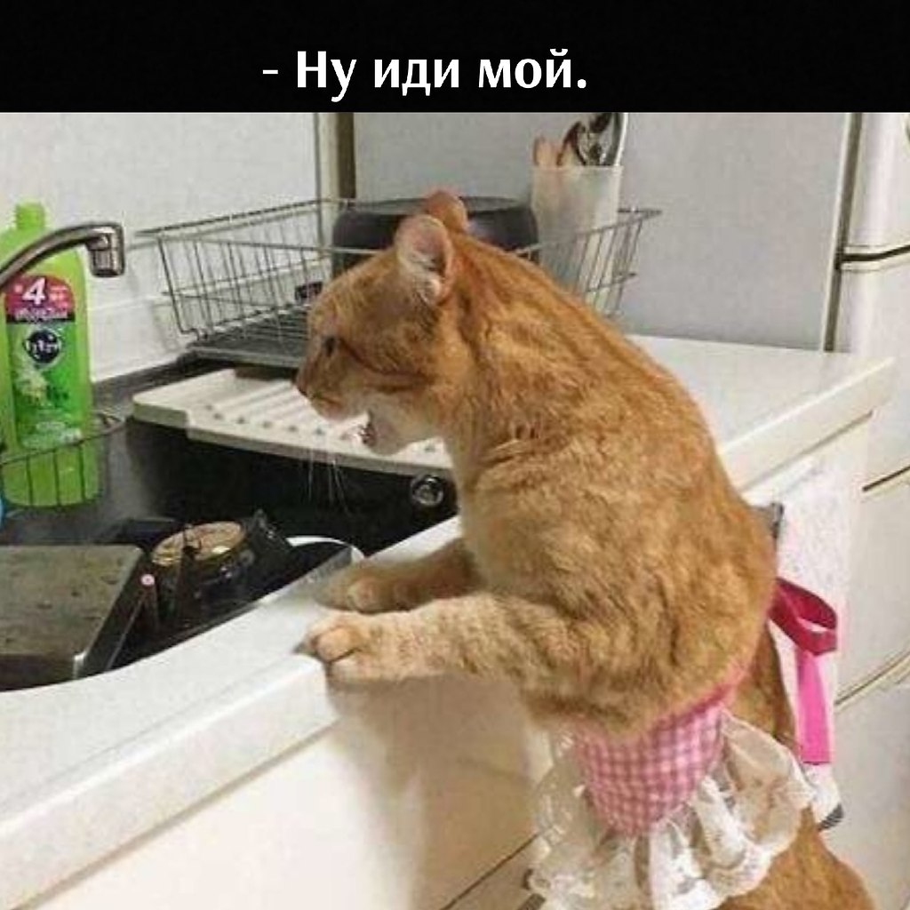 ��� ���� � ����� �� �� - 13 ����� 2026 � 17:30 - 3