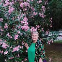 ���� ������, ���������, 65 ��� - ��������� 25 ������ 2026