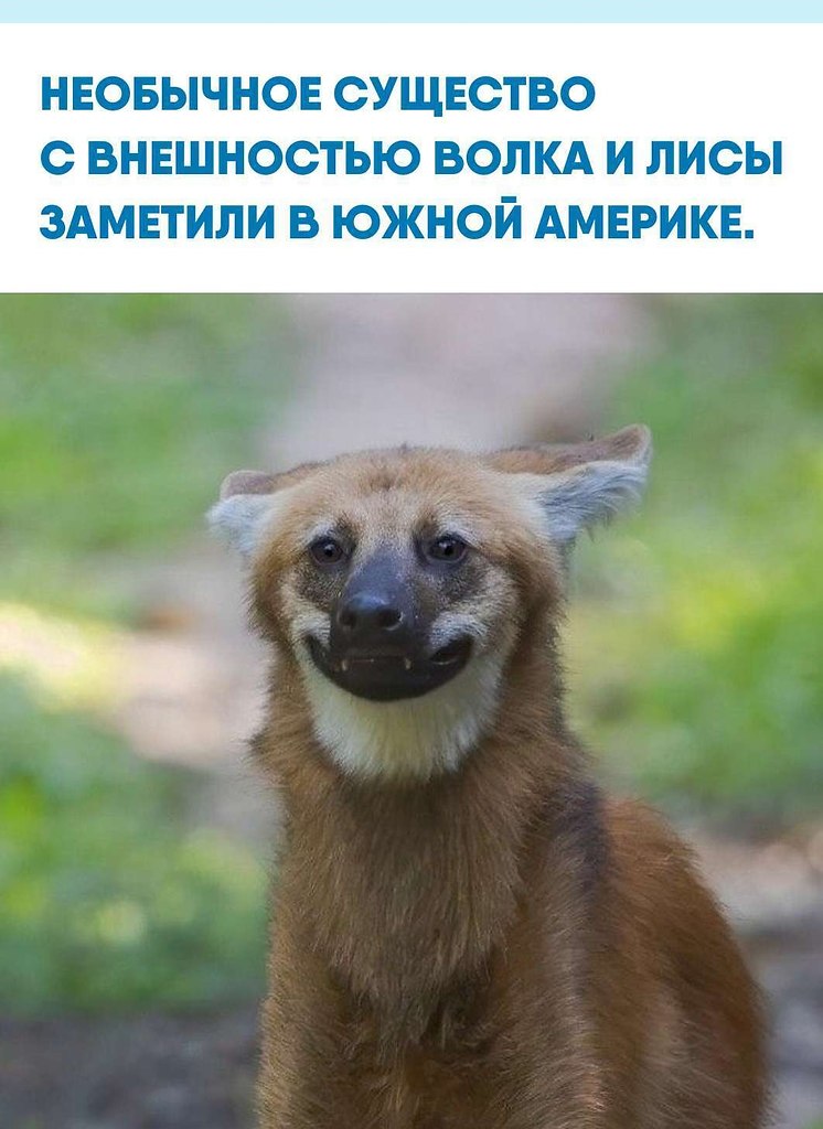 co�ce��� o�c���a�� ��ap�, ���ec��o�o �a� �p���c��� �o��. ���a c�pa��o� ��e��oc�� e�o �ac�o �p����a�� ...