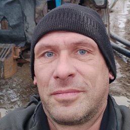 ����, �������, 37 ���