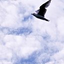 ���� Alpha, ������ - ��������� 21 �������� 2024 � ������ ��������� �����. �� �������� �������.�