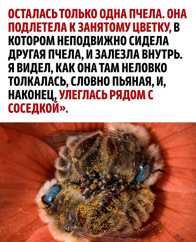    - 3