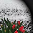 ���� Nina Iv, ������ ��� - ��������� 9 ������ 2025 � ������ ��������