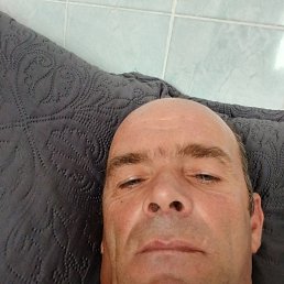 ���� ������, �������, 46 ��� - ��������� 12 ���� 2026
