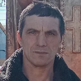 ����, ������, 47 ���