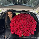 ���� ����������, �����, 33 ���� - ��������� 12 ������ 2024