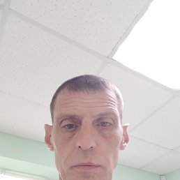 , 44, 