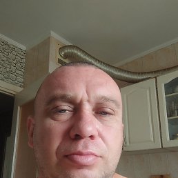 , 40, 