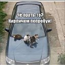 ���� �������, ������, 58 ��� - ��������� 25 �������� 2024 � ������ ������ ��������