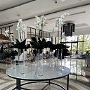 ���� �����, �����-���������, 51 ��� - ��������� 12 ���� 2025 � ������ �Doubletree by Hilton�