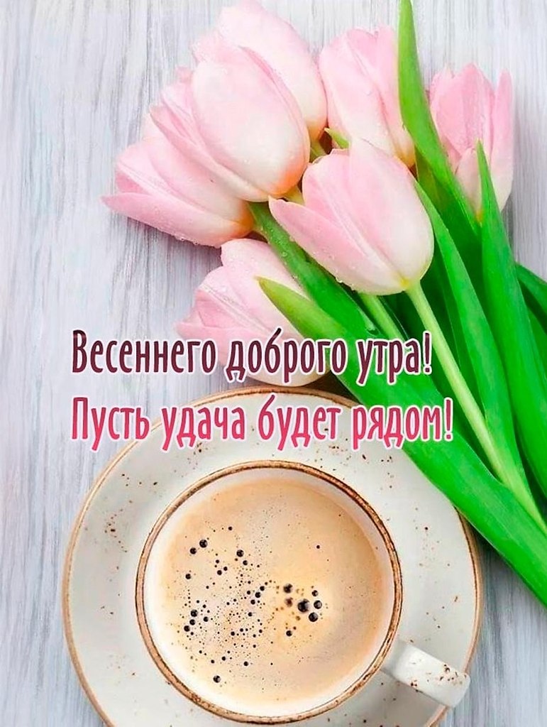 ����������� � ���������, �������� �� ������ ����. - 1 ����� 2026 � 00:20