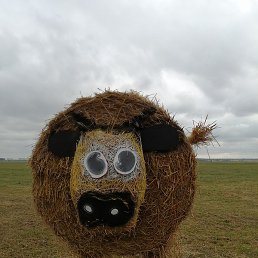 Cdtnkfyf, ������, 48 ���