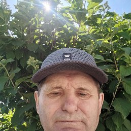 ., 65 , 