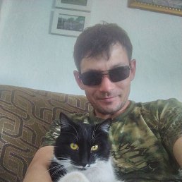 , 33 , 
