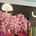 ���� ������, ������������ - ��������� 18 ������ 2025 � ������ ���� ����������