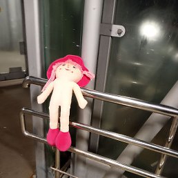 �����, ���������, 39 ���