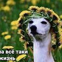 ���� �����, ������, 37 ��� - ��������� 15 ������� 2024 � ������ ���� ����������