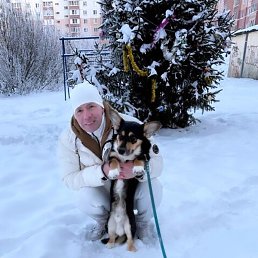 �����, �������, 51 ���