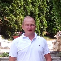 , 53, 