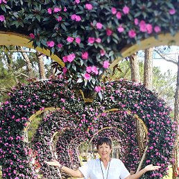 �������, �������, 67 ���