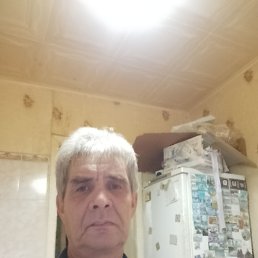 , 56, 