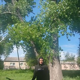 ���������, ������-��-����, 40 ���