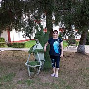, 61 , 