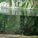 ���� �����, �����������, 33 ���� - ��������� 27 ��� 2024 � ������ ���� ����������