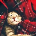 ���� Wladimir, ������, 42 ���� - ��������� 28 ��� 2025