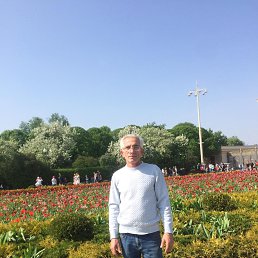 ���� �����, �����, 52 ���� - ��������� 20 ������ 2025