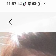 Saule, 64 ����, ��������