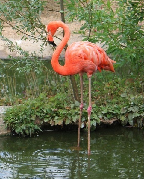 ����� �������� - 1 ������ 2025 � 11:47 - 2