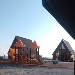 ���� ������� ��������, �����������, 36 ��� - ��������� 8 ������ 2025