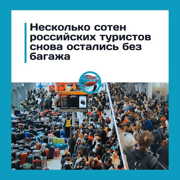 Авиакомпания не доставила сотни чемоданов в Москву.Авиакомпания Turkish Airlines не загрузила 730 ...