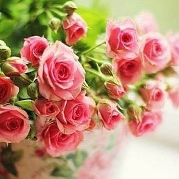 ������, �����, 57 ���