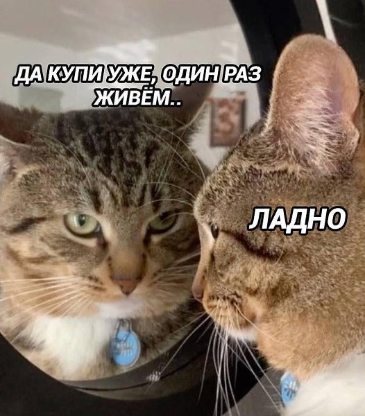 :) Любовь к себе начинается не с мантр, не с визуализаций, не с трусов за пять тысяч рублей. Любовь ...