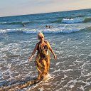 ���� �����, �������, 65 ��� - ��������� 29 ���� 2025 � ������ ���� ����������