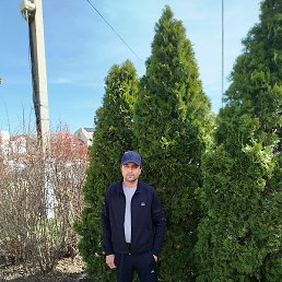 �������, �������, 41 ���