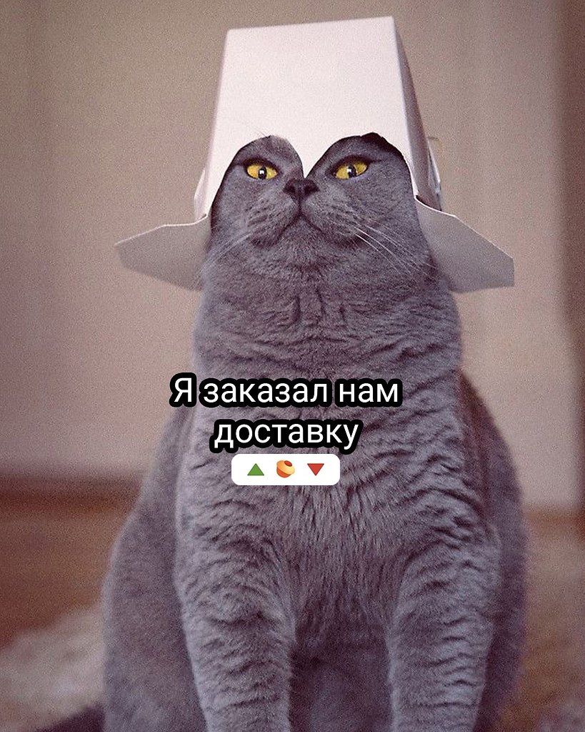 ���� - 27 ���� 2025 � 14:12 - 7